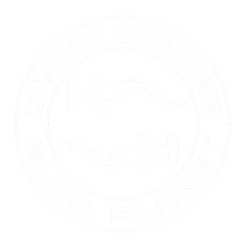 Logo BluePlanet
