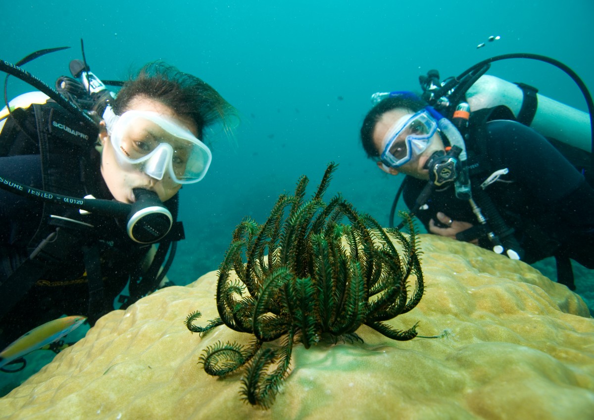 padi147_5950122315_o