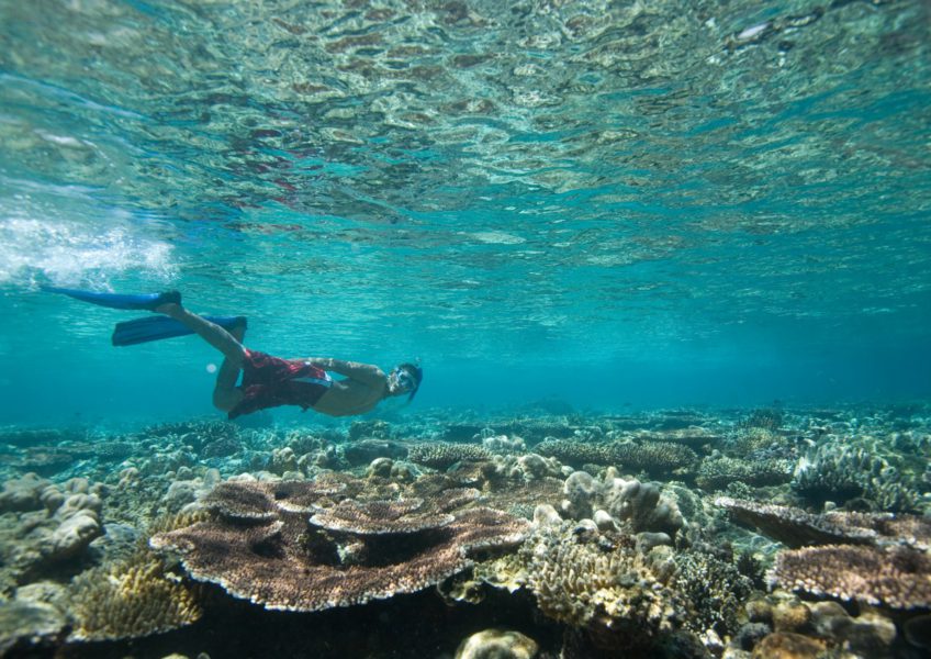 Discover Snorkeling