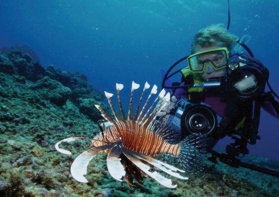 Digital Underwater Photographer
