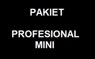 PAKIET Profesjonalny Mini